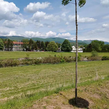 Apartman Brankovic Pirot-Zapadni Kej 58 Exterior photo