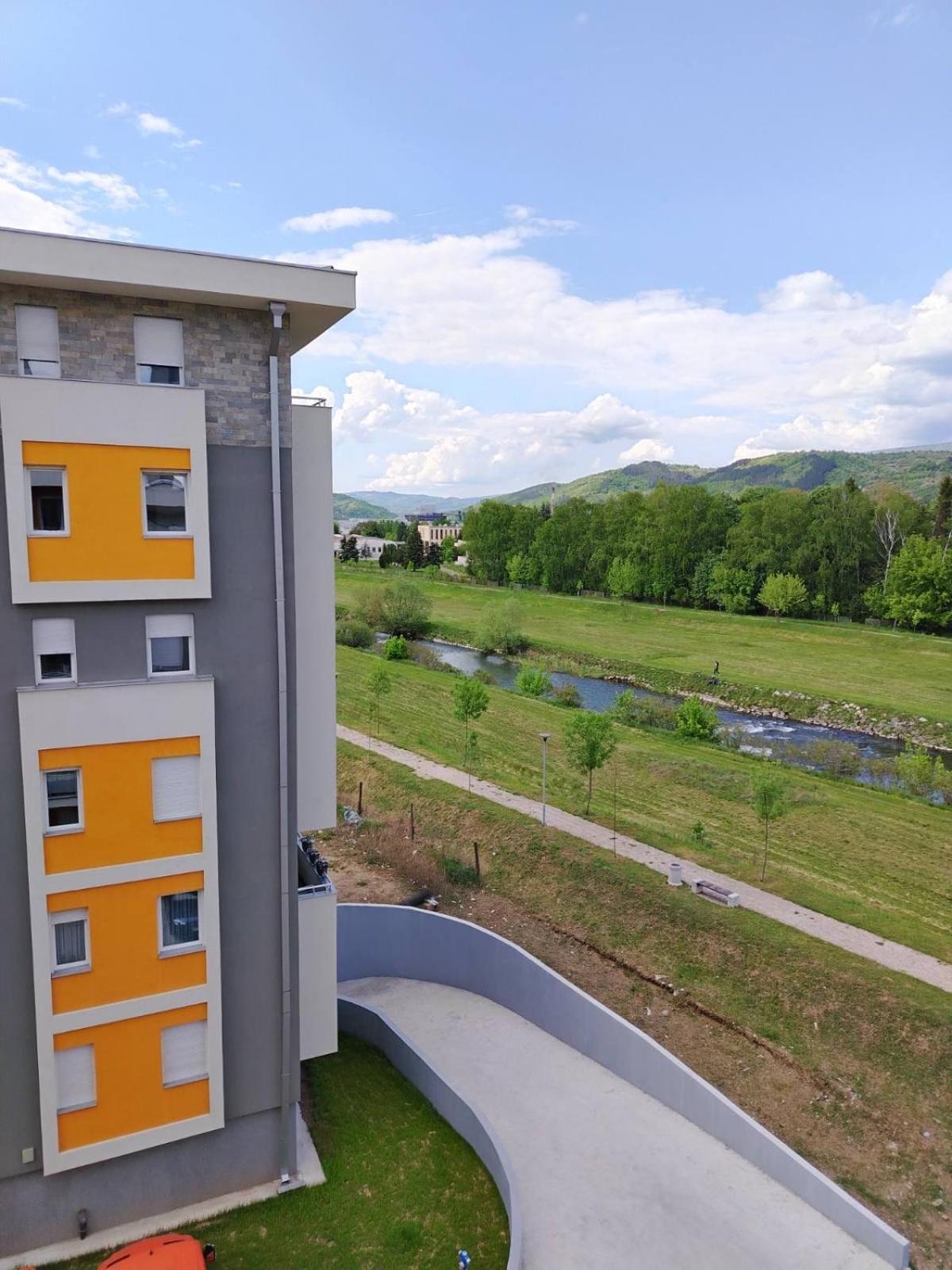 Apartment Brankovic Pirot-zapadni Kej 58 *