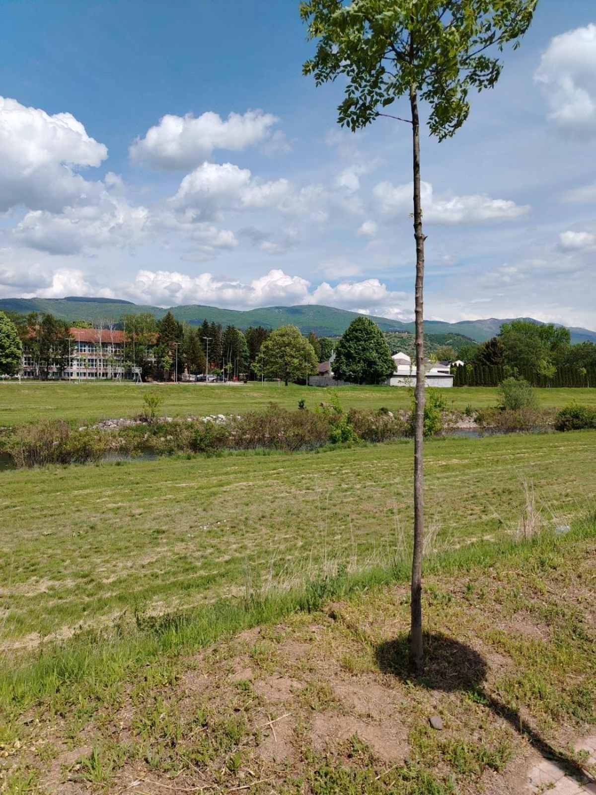 Apartment Brankovic Pirot-zapadni Kej 58 *