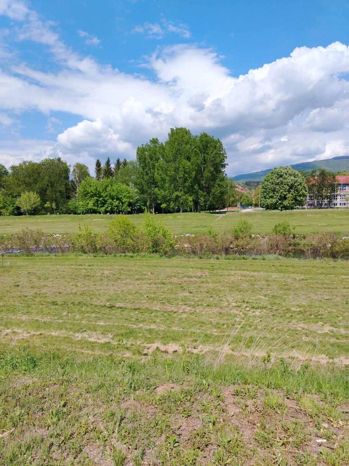 Apartment Brankovic Pirot-zapadni Kej 58 *